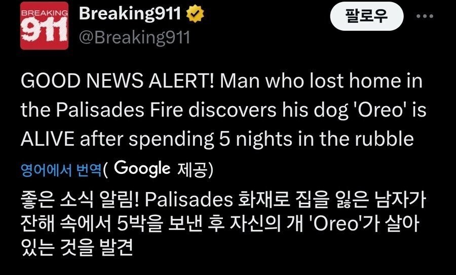LA 화재로 죽은줄 알았던 강아지를 찾은 남성_1.jpg