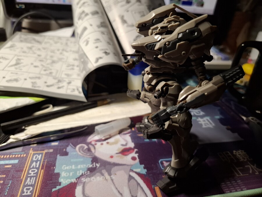 30MM)아코6 나이트폴 비무장 가조 끝_1.jpg