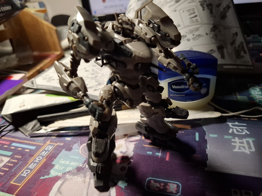 30MM)아코6 나이트폴 비무장 가조 끝_3.jpg