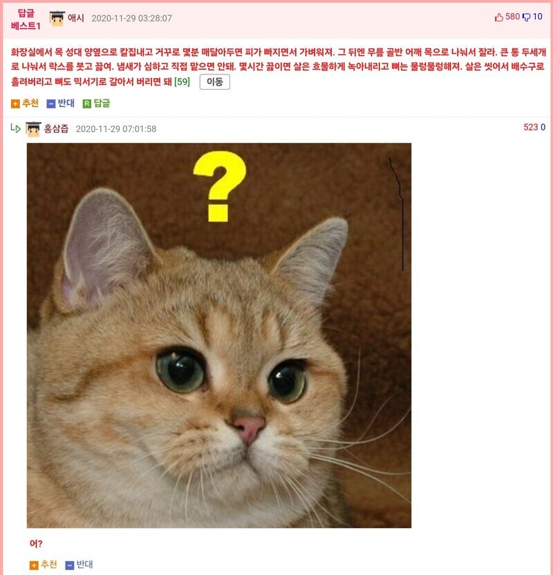 웃대 댓글 괴담.jpg_3.jpg