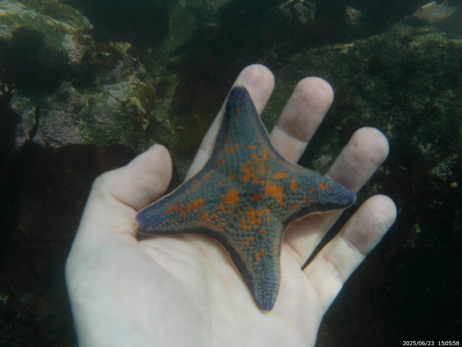 스압주의) 부산바다 스노클링_30.jpg