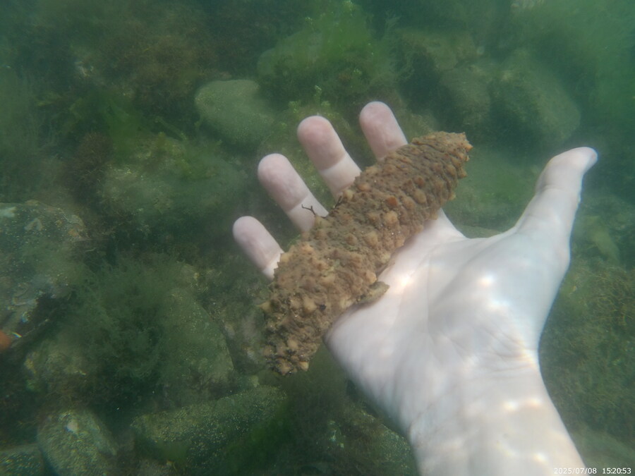 스압주의) 부산바다 스노클링_51.jpg