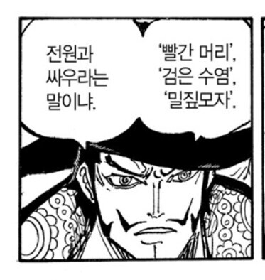 원피스) 미호크의 루피 취급 변화_4.jpg