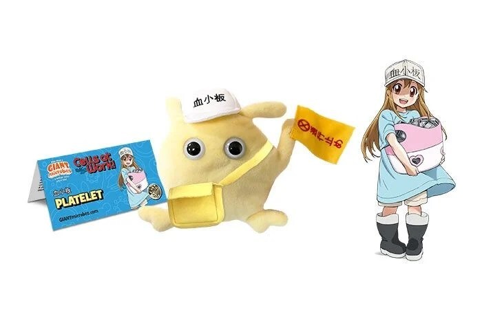 일하는 세포 x 실사 세포 인형 콜라보_5.jpg