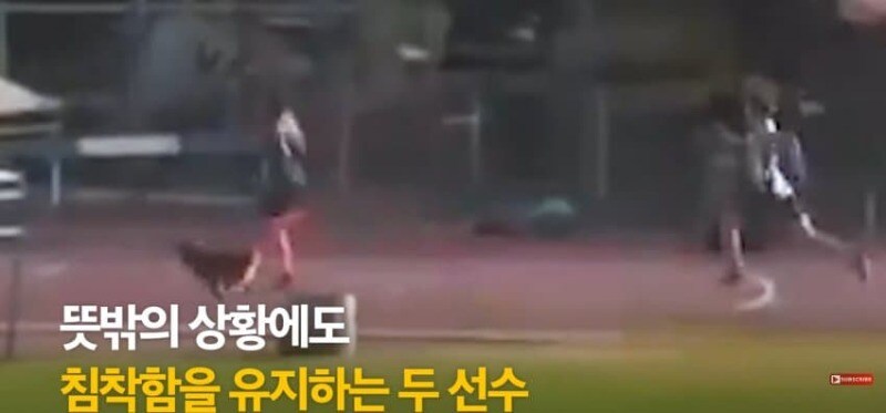경기장 난입한 강아지_7.jpg