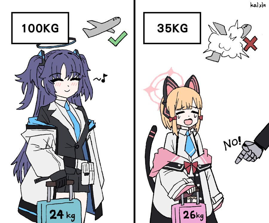 블루아카)기내 반입 중량제한_1.png