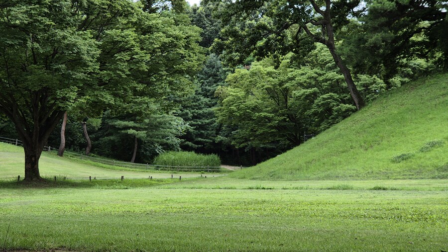 올림픽 공원 출사 (스압)_2.jpg