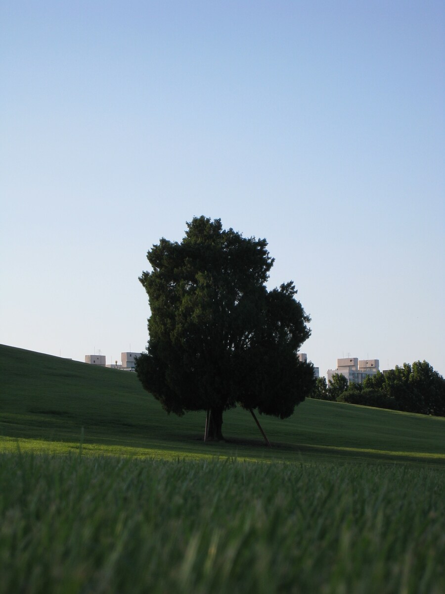 올림픽 공원 출사 (스압)_10.jpg