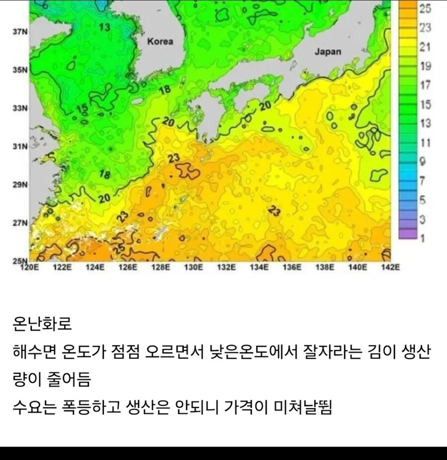 한국이 5년안에 북한을 점령해야하는이유_4.jpg