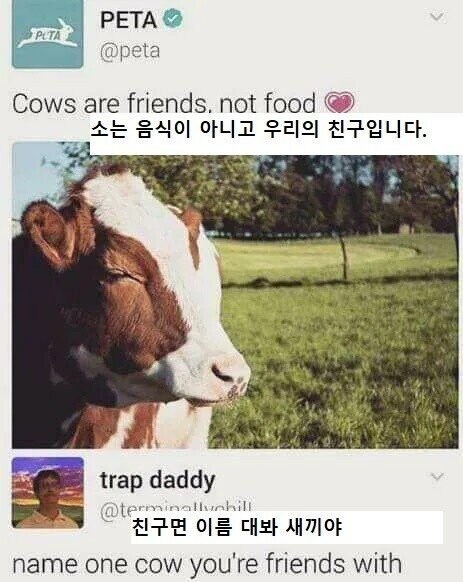소는 음식이 아니고 친구입니다.jpg_1.jpg