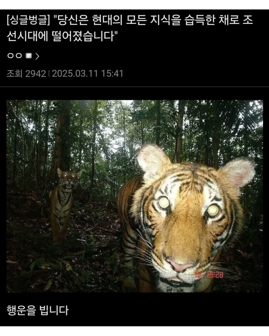 "당신은 현대의 모든 지식을 습득한 채로 조선시대에 떨어졌습니다"_1.jpg