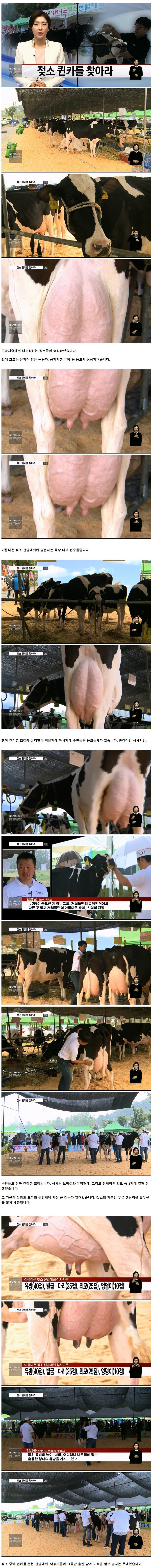 유방이 예쁠수록 많은 점수를 받는 대회.jpg_1.jpg
