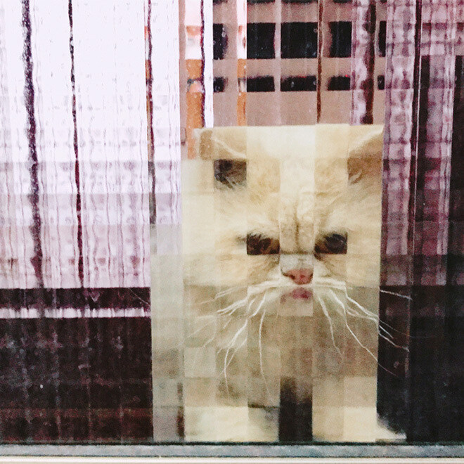 네모 네모 고먐미_3.jpg