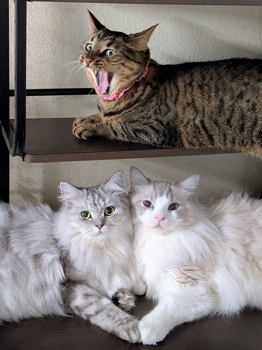 층간소음_1.jpg
