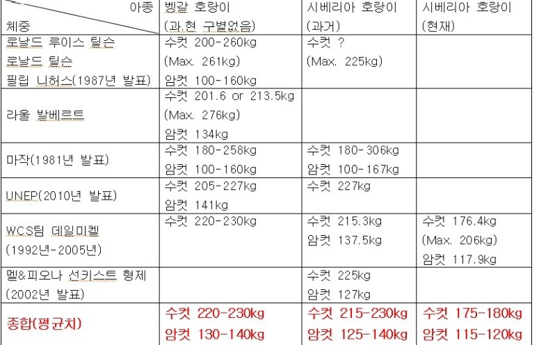 시베리아 vs 벵갈 호랑이 크기비교_1.png