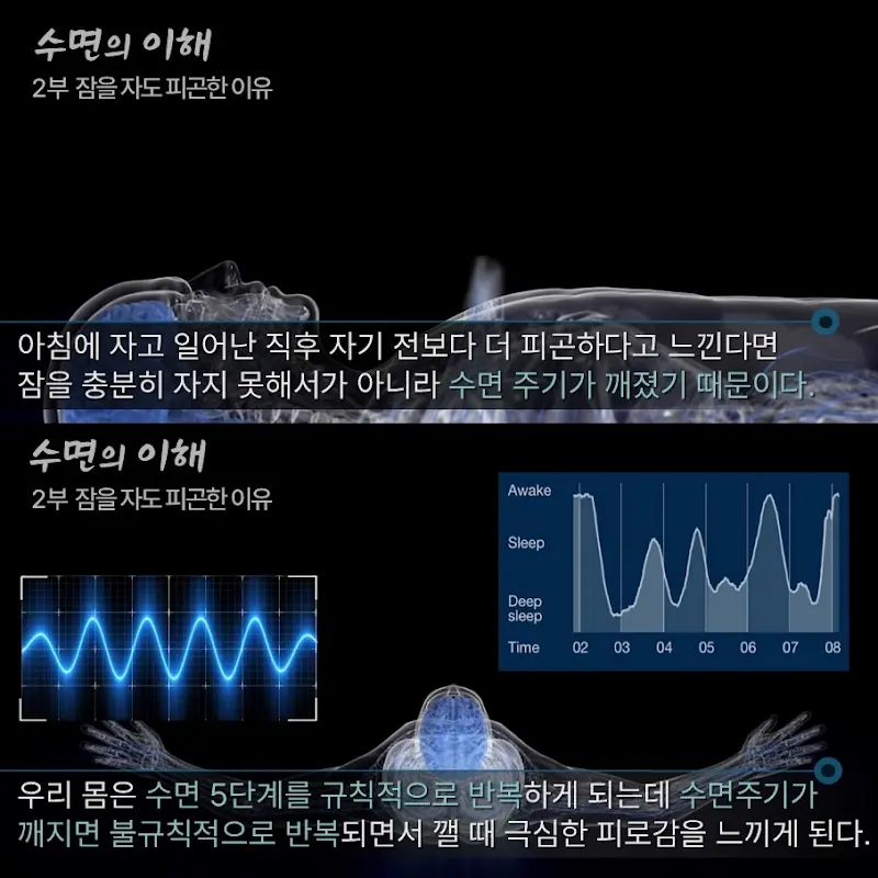 잠을 자도 피곤한 이유.jpg_1.webp