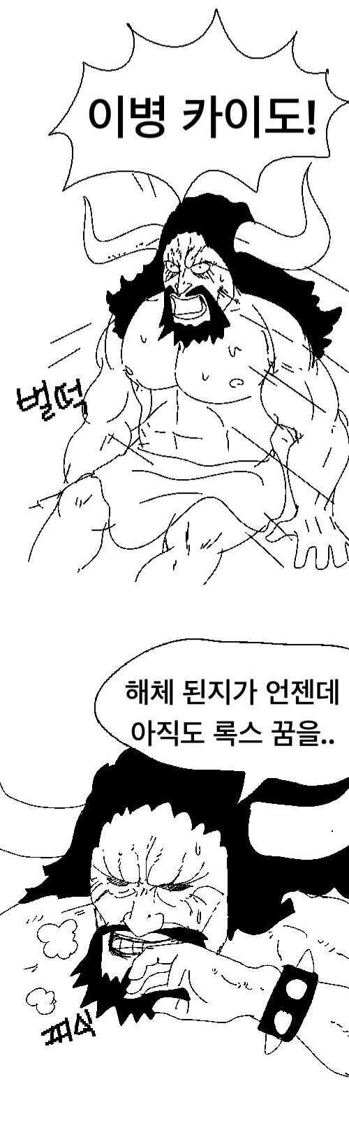 원피스) 록스해적단 공개후 카이도 이미지 요약_2.jpg