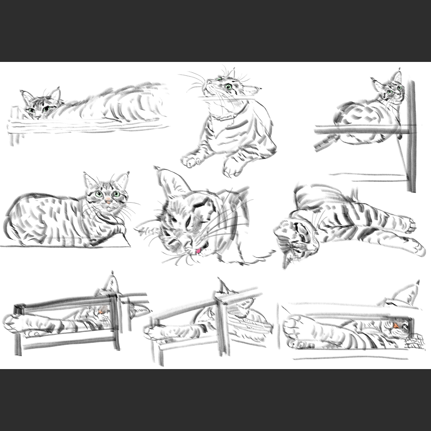 고양이) 우리집 고양이그림 보고가셈_10.png