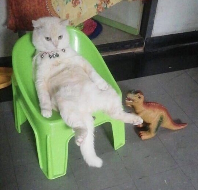 내갤러리) 왜 저장되어 있는지 모르는 사진들_8.png