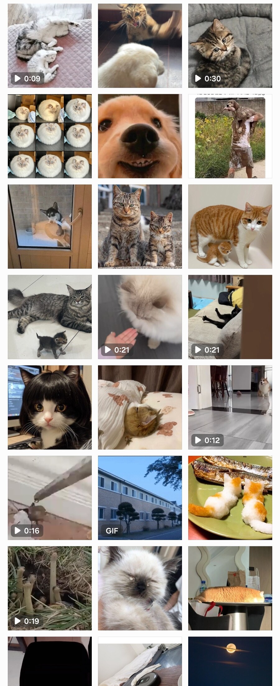 와씨 내 갤러리 그냥_1.jpg