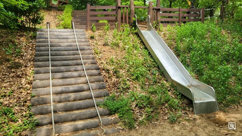 전국의 유아숲 체험 공원 근황.jpg_3.jpg