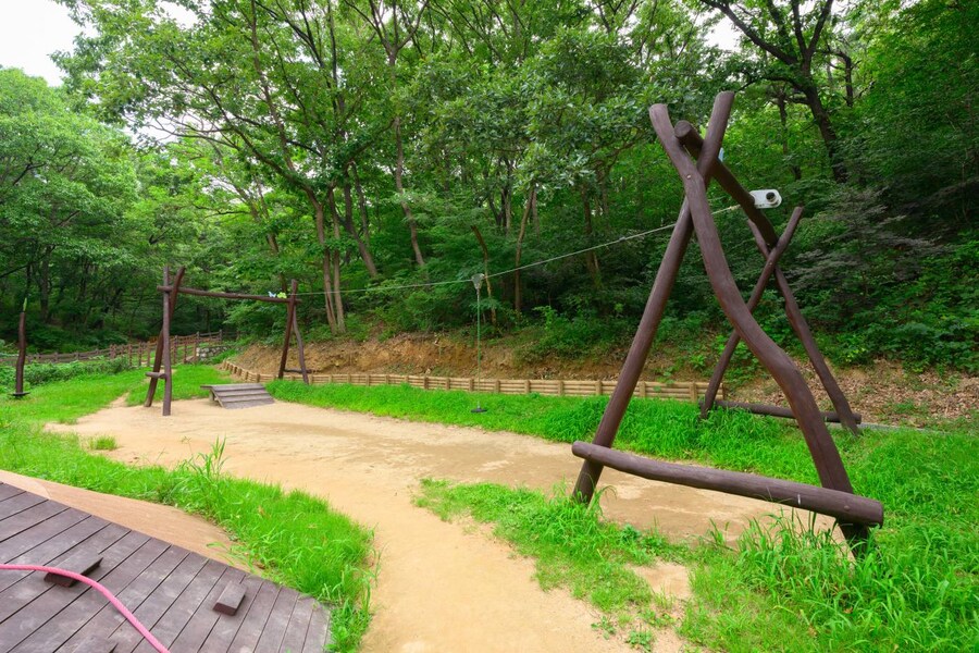 전국의 유아숲 체험 공원 근황.jpg_6.jpg