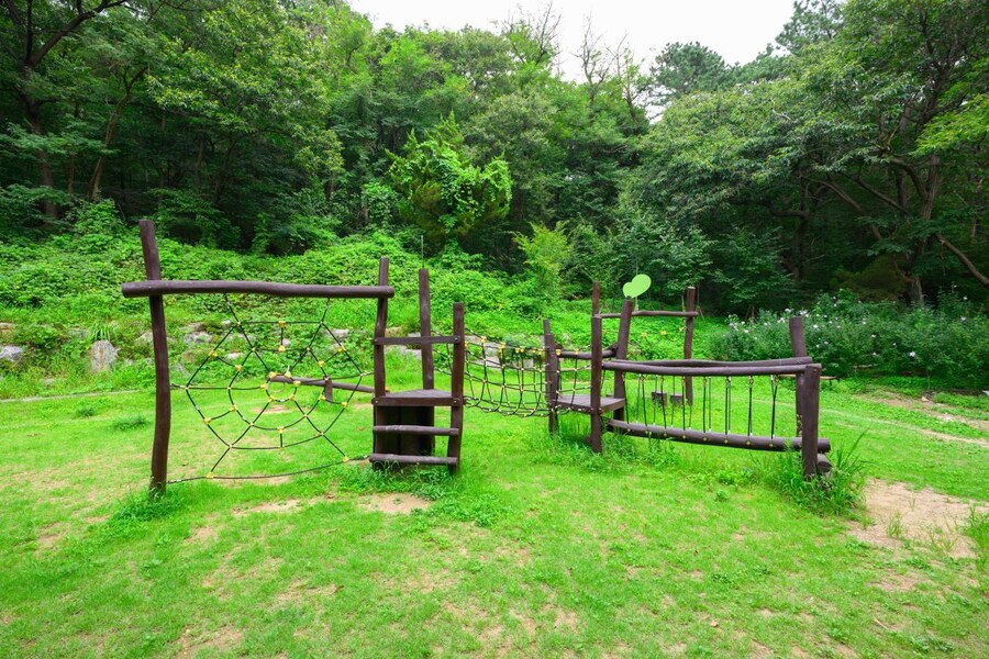 전국의 유아숲 체험 공원 근황.jpg_7.jpg