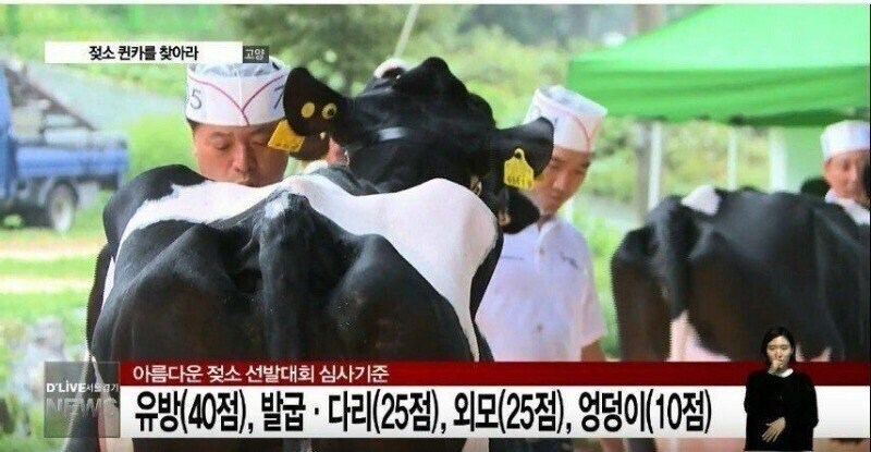 유방 40점, 다리 25점, 외모 25점, 엉덩이 10점.jpg_1.jpg