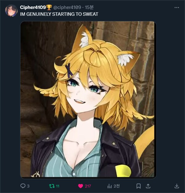 버튜버) 아 뭐야 도키 방송에서 거도키냥이 모드 보여줌??_3.png