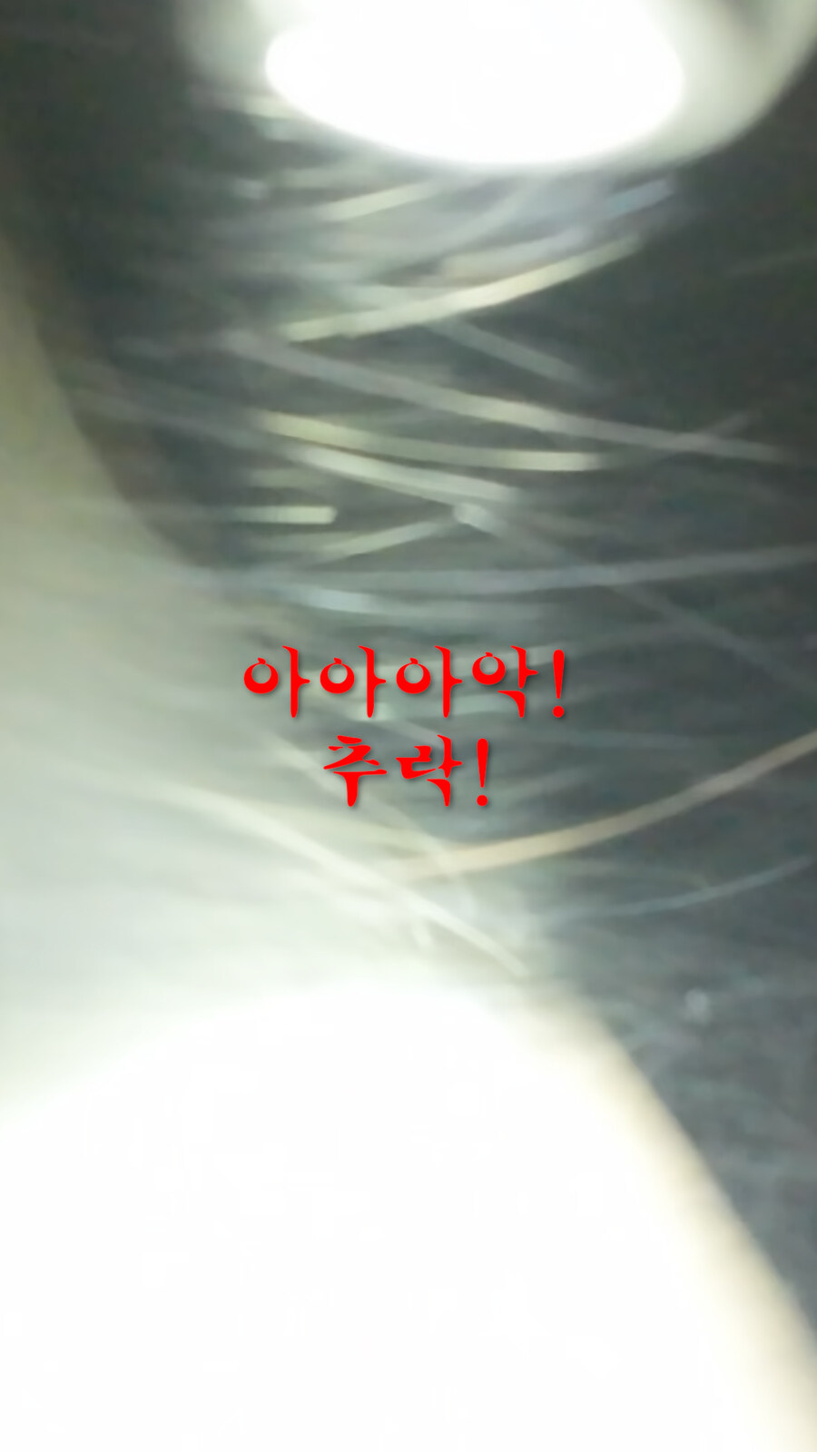 흉가체험의 새로운 패러다임 제시, 드론 고스트헌터즈? (서남대학교 shorts)_5.jpg