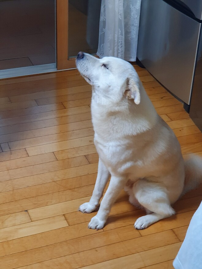 난 큰젖이니 작은젖이니 별로 관심없고_9.png