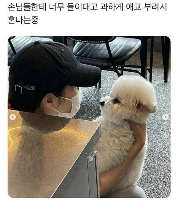 손님에게 너무 들이대서 혼나는 알바생_1.jpg