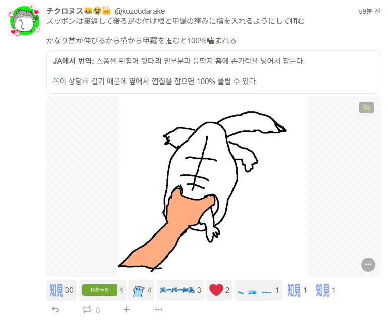 자라를 잡는 방법_1.png