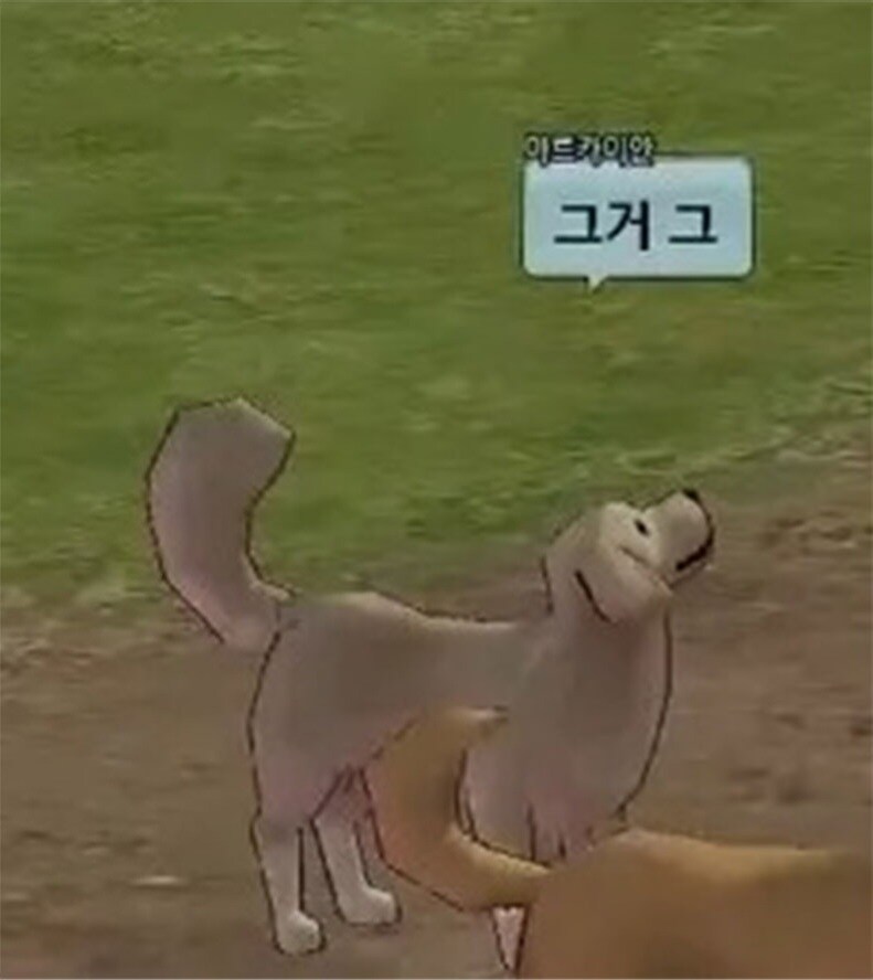 마비노기 본가 근황.jpg_3.jpg