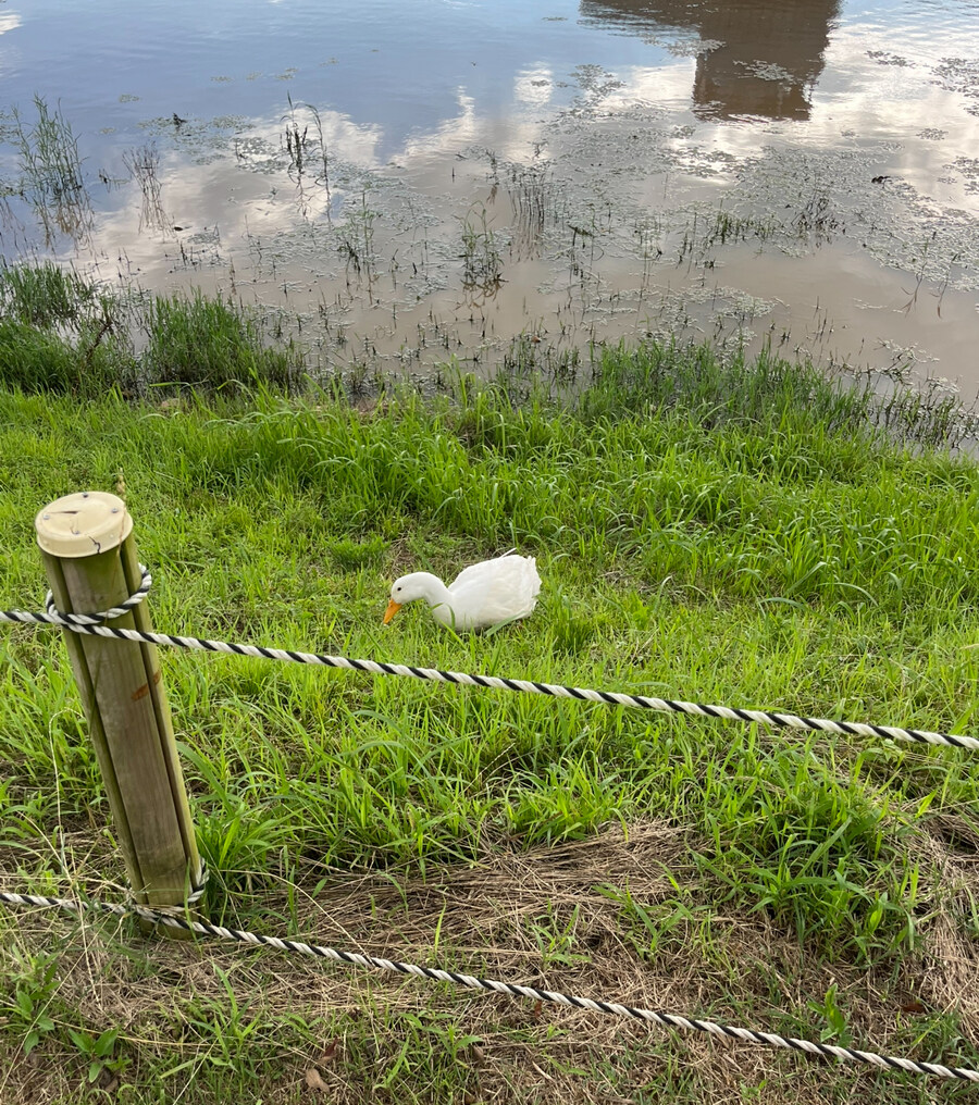 전남도청에 숨겨진 비밀_5.jpg