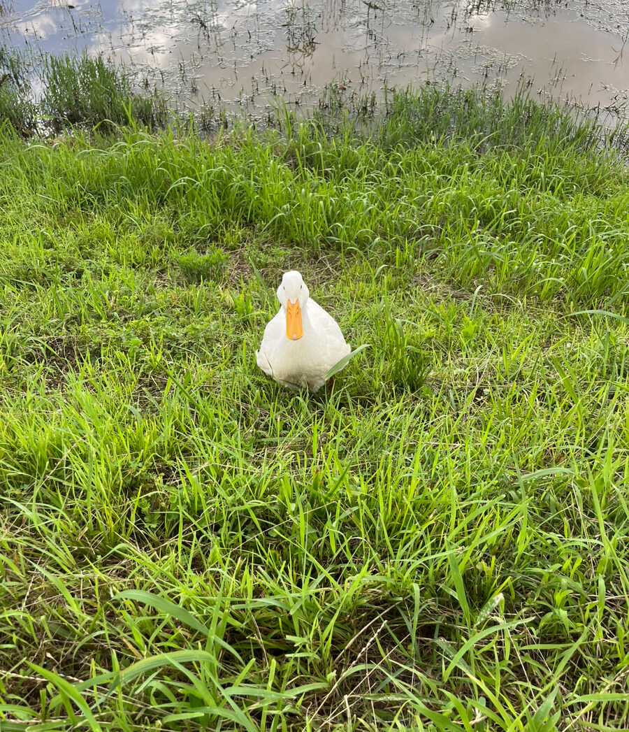 전남도청에 숨겨진 비밀_7.jpg