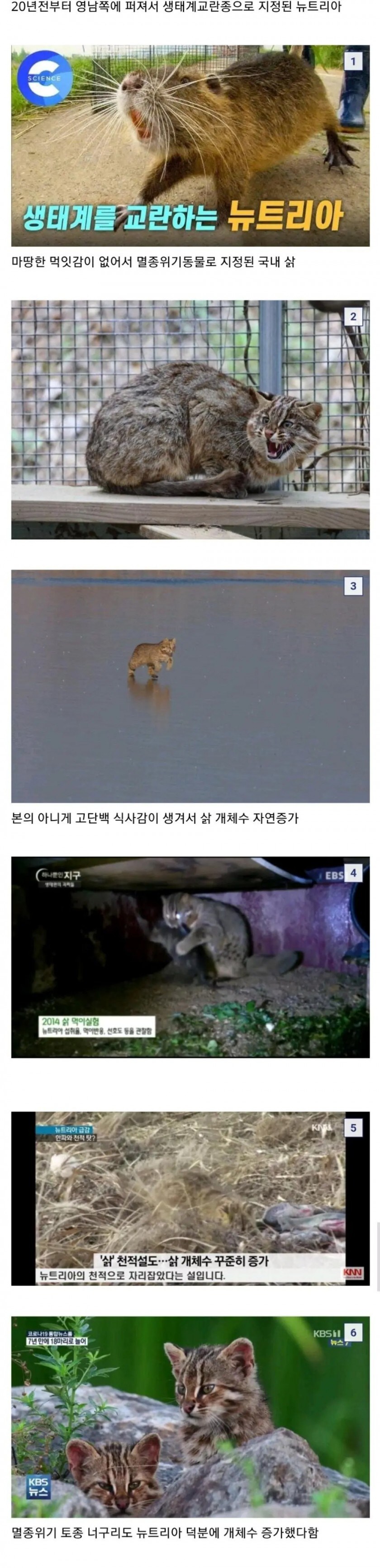 생태계교란종 때문에 멸종위기 동물이......_1.jpg