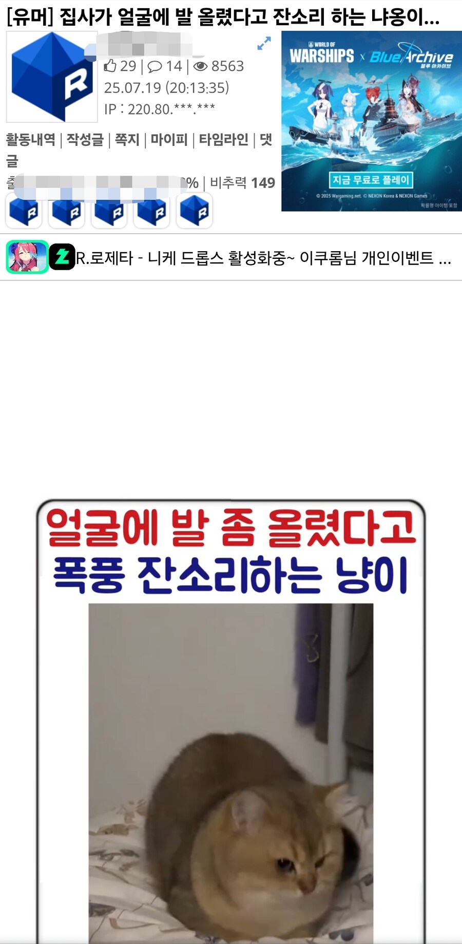 고양이 혐짤빌런은 사실 관리자 애착인형이 아닐까?_1.jpg