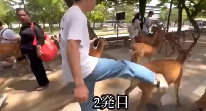 일본에 악질 유튜버였던 사람이 나라에 정치인이 출마가 가능했던 이유_4.png