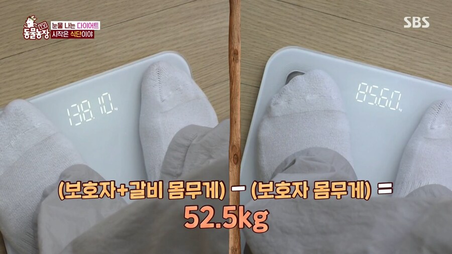 반려견 돼지 만들어 놓고 비만 아니라고 우기는 여자_4.png