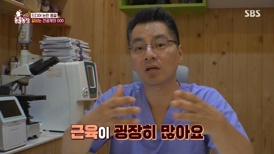반려견 돼지 만들어 놓고 비만 아니라고 우기는 여자_12.png
