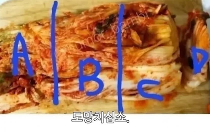 어느 유튜버의 논란 대처법_2.png