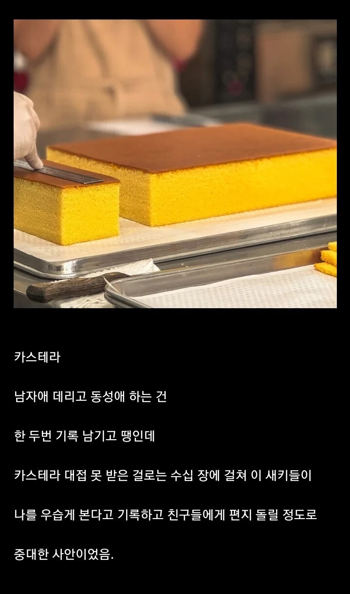 조선통신사들이 일본에서 진짜로 충격받은 거_1.jpg