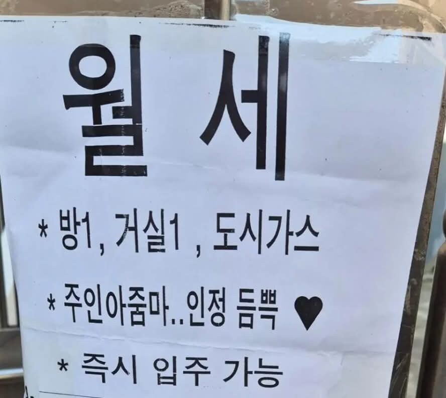 웬지 이죄띵 미래가 이시바 일거 같냐?_1.jpg