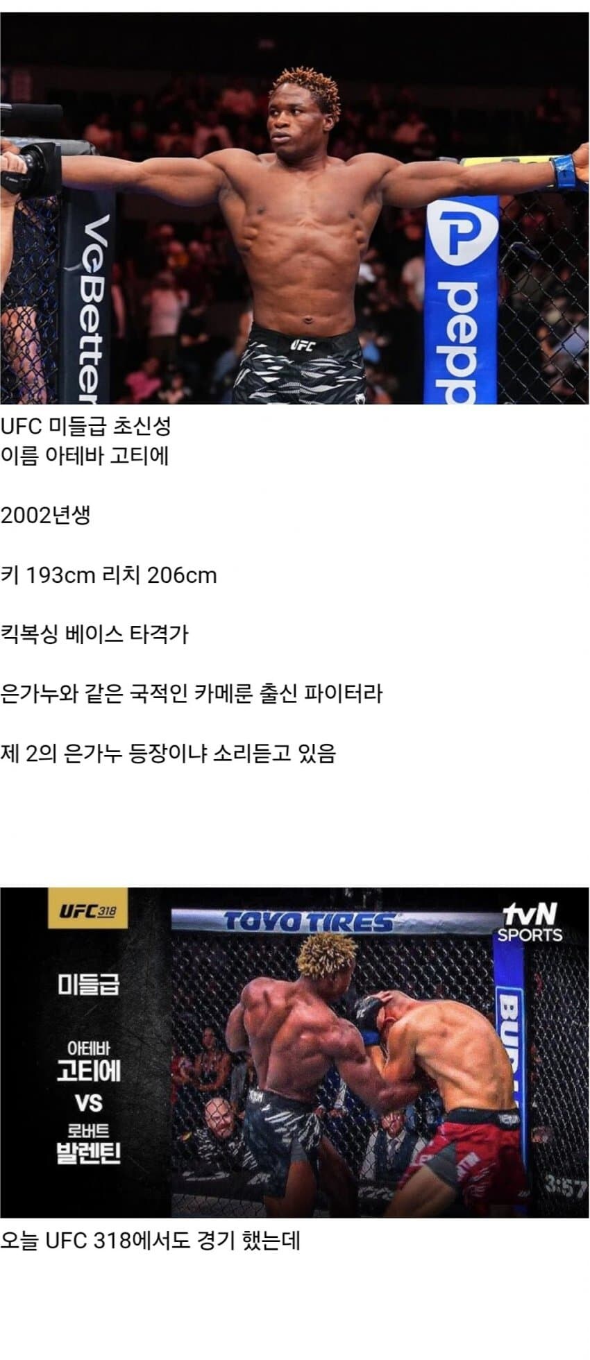 제2의 은가누라고 평가 받는 UFC 선수_1.jpg