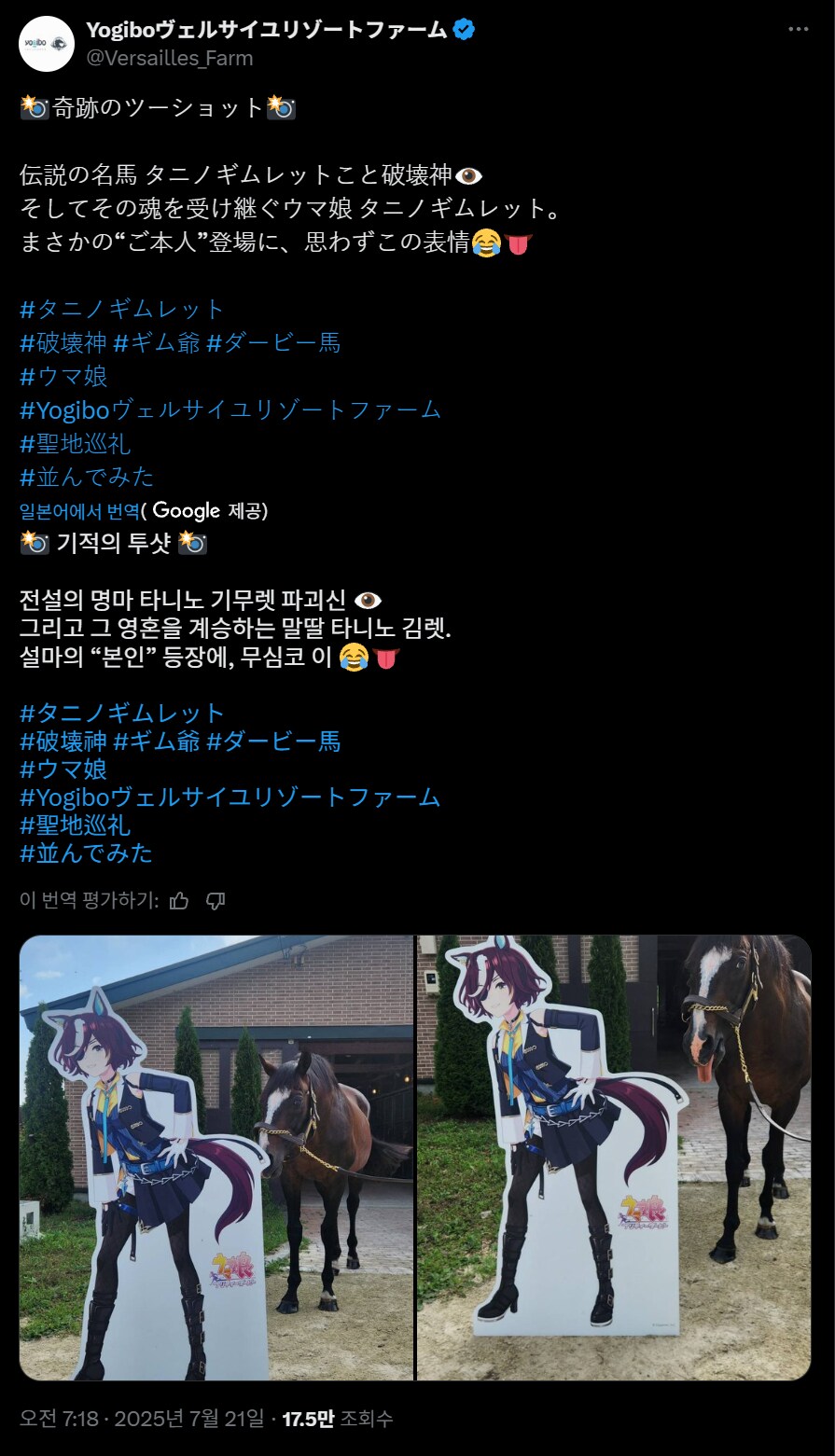 경마) / 말딸) 김렛: 이건... 나?_3.png