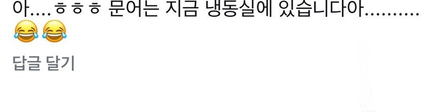 부산 광안리 무단 횡단하는 문어_1.jpg