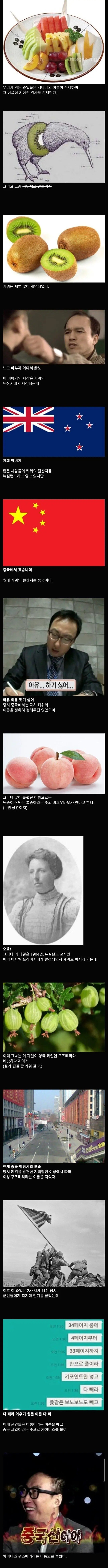 이름이 중국스러워서 개명당한 과일_1.jpg