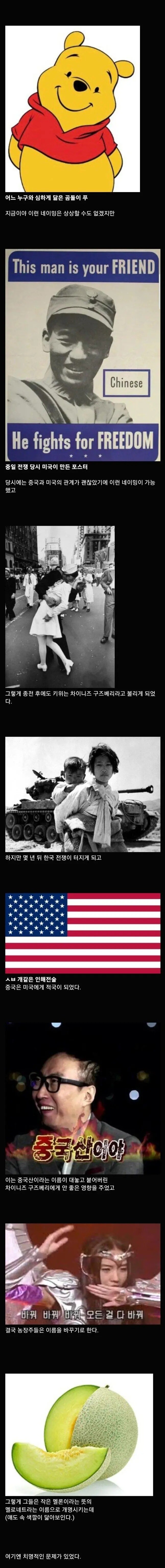 이름이 중국스러워서 개명당한 과일_2.jpg