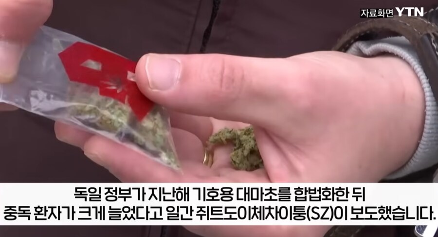 대마초 합법화한 독일 근황._1.png